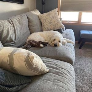 Meet your Posher, Gable